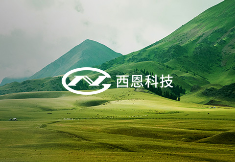 上海西恩科技股份有限公司